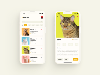 Mobile App Concept adobe photoshop app figma logo mobile app concept pet ui uiux ux vector