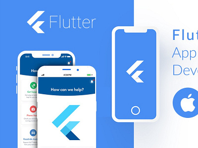 Flutter App Development Services by Gorge Holow on Dribbble