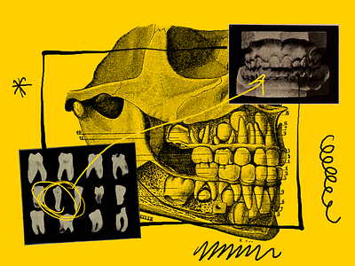 Smile! anatomy collage dentistry illustration