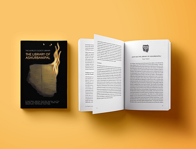 The World's Oldest Library: The Library of Ashurbanipal book book cover book design design graphic design illustration