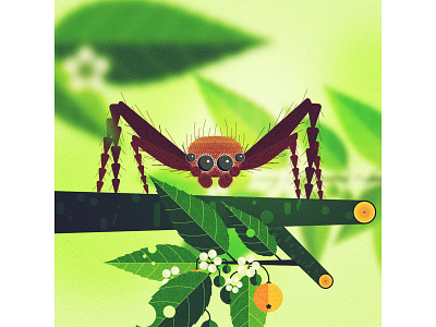 36daysofType2020 _M_Jumping Spider 36daysoftype 36daysoftype07 illustration insects nature vector
