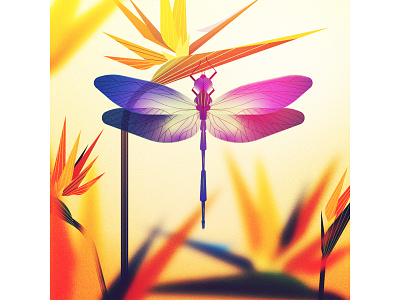 36daysofType2020 _T_Dragonfly 36daysoftype 36daysoftype07 animation design graphic design illustration insects motion graphics nature ui vector