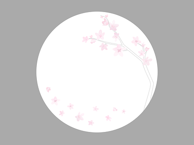 Cherry Blossom branch cherry cherry blossom cherryblossom flower petals pink tree
