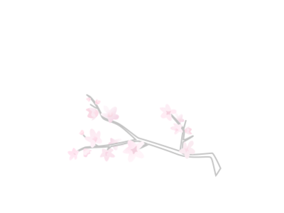 Cherry Blossom Branch branch cherry cherry blossom cherryblossom flower petal pink