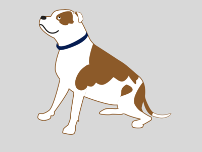 Horatio brown dog good boy happy pitbull spotted white
