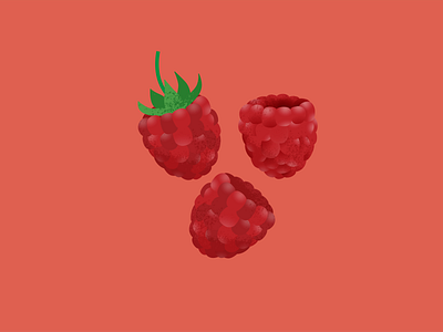 FRUIT 01 design flavor fruit graphic design illustration raspberry sweet