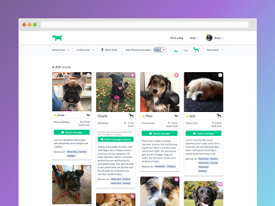 Search Results dog favourite filter interface menu navigation results search ui ux