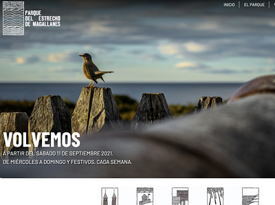 Parque del Estrecho Website design parque website