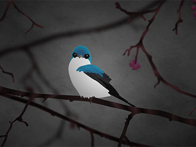 Little Bird bird character animation joysticksnsliders nature rig shape layers vector