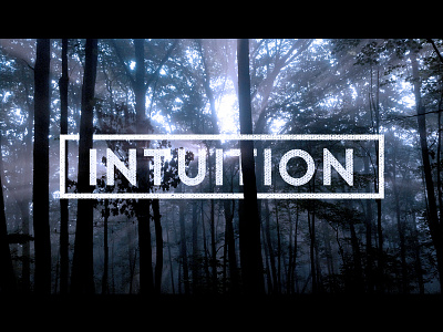 Intuition. intuition