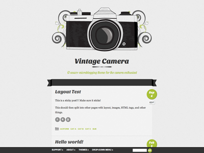 Vintage Camera camera design illustration theme vintage website wordpress