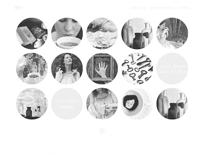 Spun black and white design elegant fade modern opacity photography simple theme wordpress