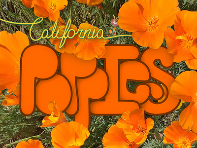 Poppies on Poppies cursive flowers hand lettering integrated picture retro typeography