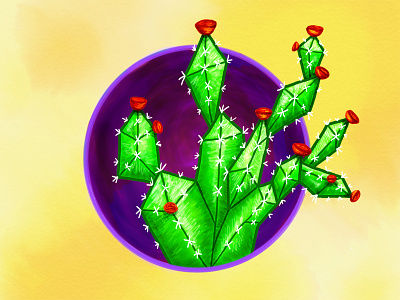 Cactus cactus flower illustration plant sketch