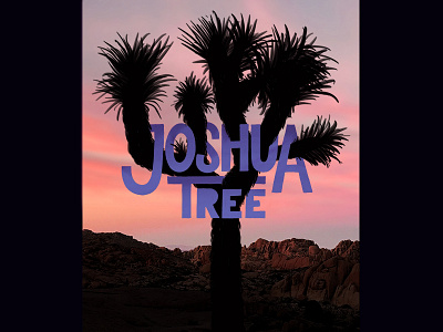 Joshua Tree hand lettering illustration joshua tree photo silhouette sunset tree