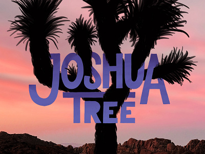 Joshua Tree hand lettering illustration joshua tree photo silhouette sunset tree