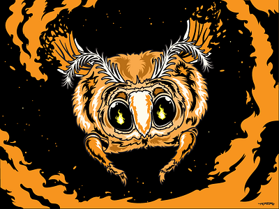 The moth & the flame animal eyes fire flame illustration insect love moth night orange vector wings