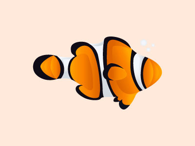 Clownfish clown fish illustration orange vector