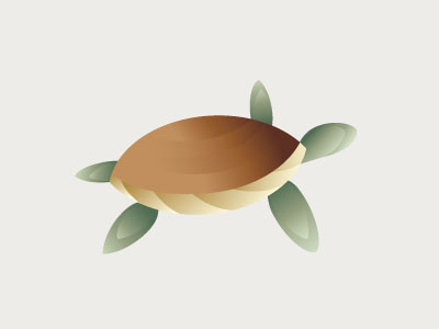 Sea Turtle animal creature gradient illustration illustrator logo turtle vector