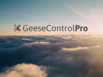 Geese Control Logo bird drone drones geese golf goose logo sky