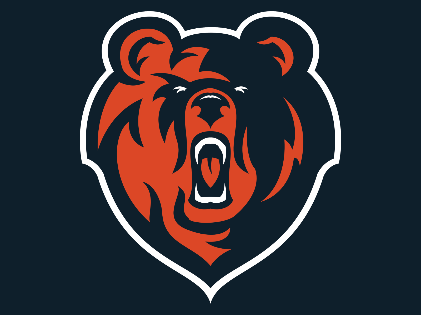 Bear by Jacob Moeller on Dribbble