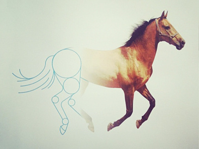 Concept to Realization concept horse illustration of course of course