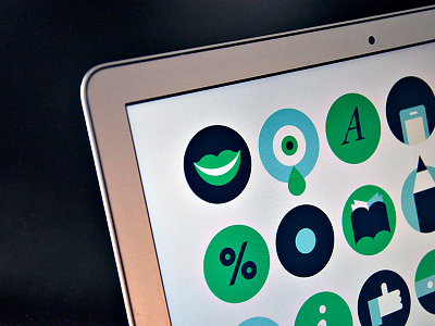 ☞ Infographic Full Project edenspiekermann icons infographics project