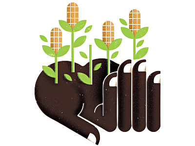 Monocle 80! corn crops editorial farming growth hand illustration monocle spot illustration