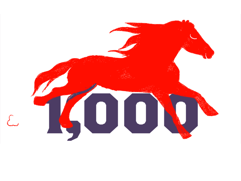Yeehaw! 1000 animation cartoon cartooning horse run cycle typography