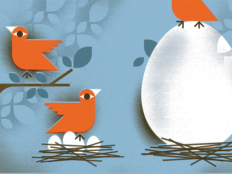 Wall Street Journal (2) nest money financial investment eggs birds illustration wall-street-journal