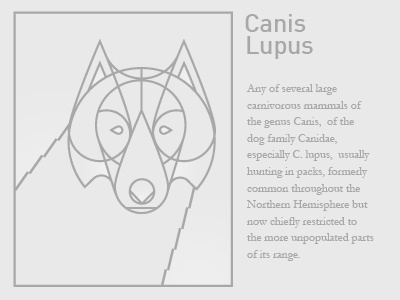 Canis Lupus canis lupus geometric wolf
