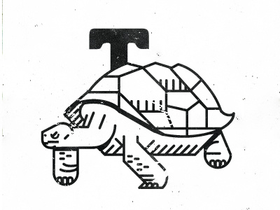 T alphabet animal alphabet project t tortoise turtle wild