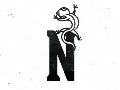 N is for . . . amphibian animal animal alphabet project geometric n
