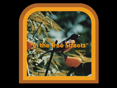 "In the Tree Streets" - Debut Single debut music psych rock psychedelic rock rock and roll single video