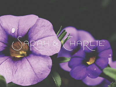 Sarah And Charlie alxandr charlie logo sarah typography