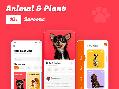 Pet Adoption App adobe xd app design graphic design minimal mobile app pet pet adoption app pet care ui ux