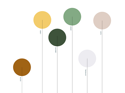 Color Study balloons brand colors flowers