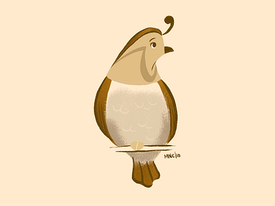 Quail character design illustration procreate women in illustration