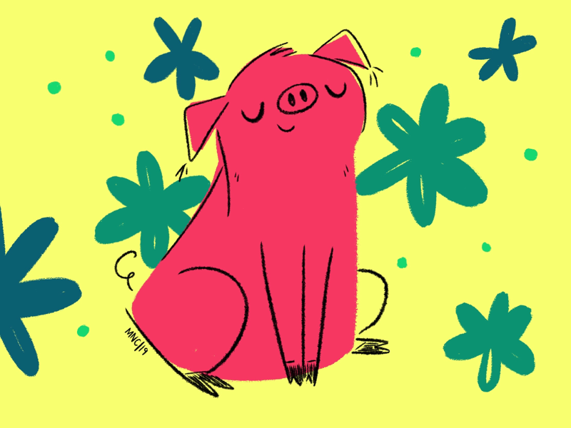 Year of the Pig by Monika Norcross-Cerminara on Dribbble