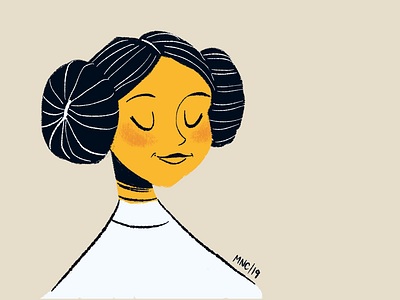 Princess Leia Designs Themes Templates And Downloadable Graphic Elements On Dribbble