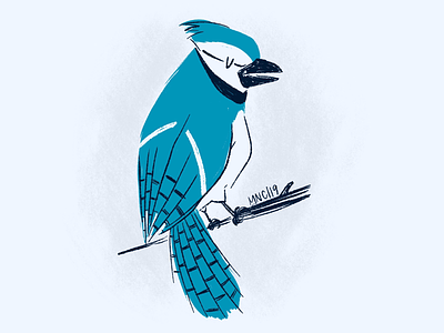 Blue Jay blue jay character design digital art illustration mid century retro septembird
