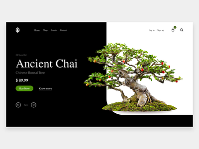 Bonsai Leaf Web Design