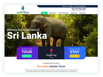 Aerizo Tours design web