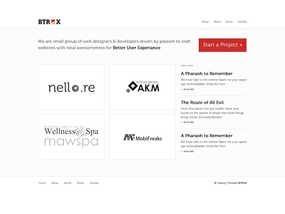 Btrux Website design and development studio ui design website design