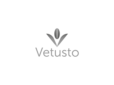 Vetusto 3 adobe branding coffee d2 design graphic design identity illustrator logo naming wacom