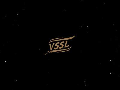 VSSL Microsite Development design ui ux website design