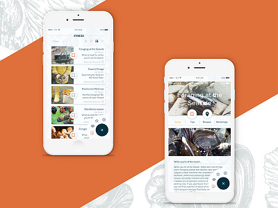 Food Foraging app design food forage ios ipad iphone menu mobile ui ux