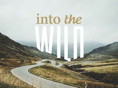 Into the Wild design sermon