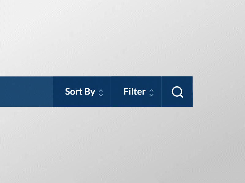 Desktop Search Animation