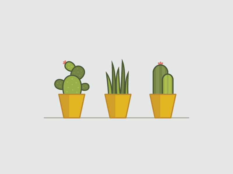 Plants 'n pots grass houseplants spring illustration flower cactus succulents pots plants